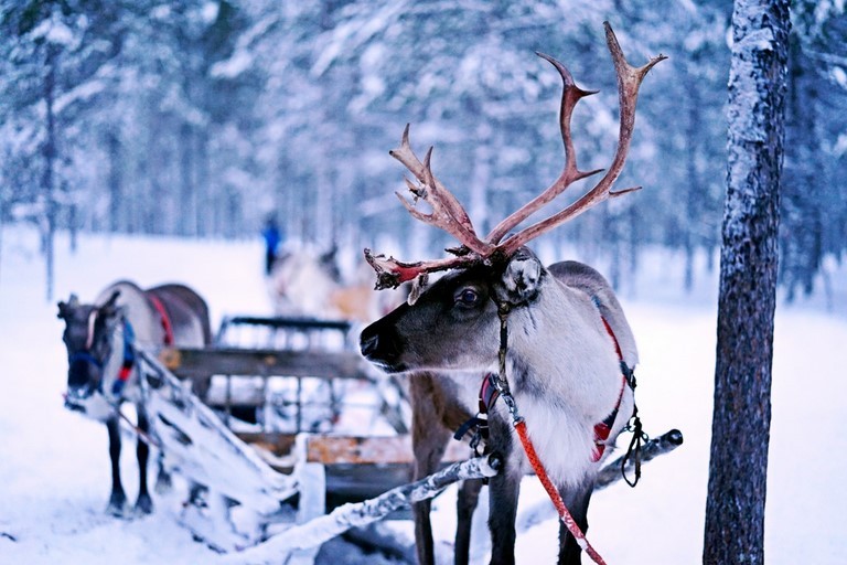 Traineau du Père Noël